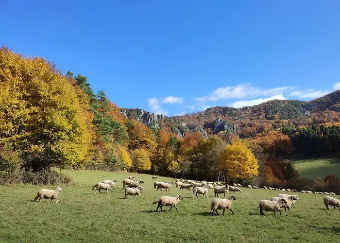 Drevenica Jozef Sulov